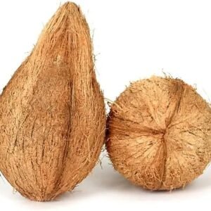Pooja Coconut