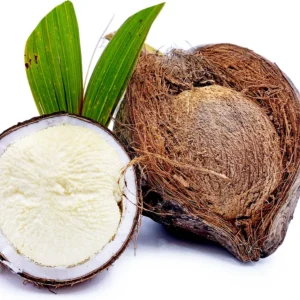 Sprouted Coconut