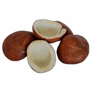 Dry Coconut