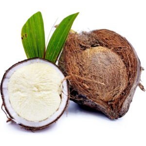 Sprouted Coconut